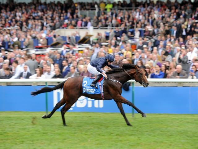 Air Force Blue is red-hot favourite for Saturday's 2000 Guineas at Newmarket